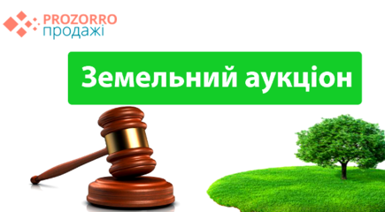 Оголошення про проведення Дубенською міською радою земельних торгів (електронного аукціону)