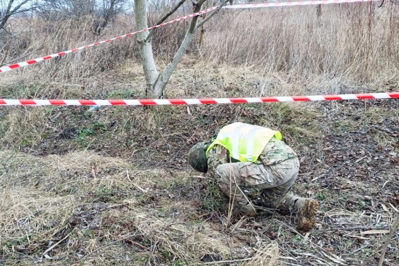   У чагарниках поблизу Дубна знайшли осколковий боєприпас (ФОТО)