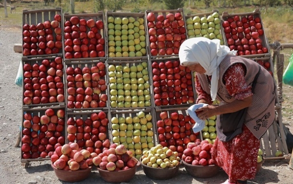 Світові ціни на продовольство впали за рік на 10%