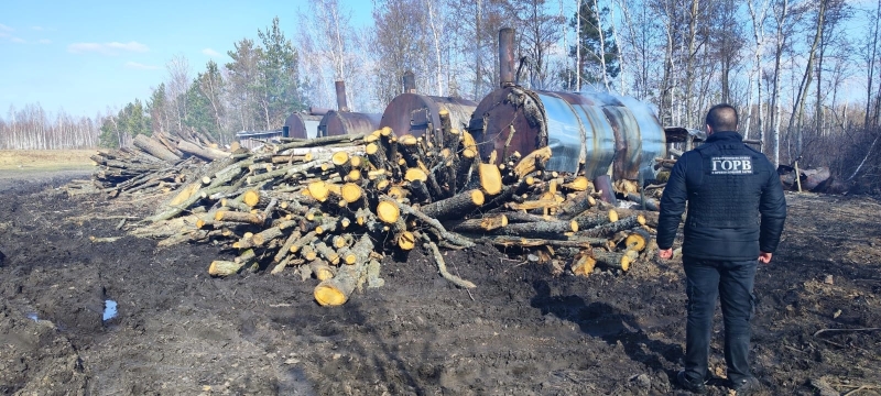 Випалювали деревне вугілля: у Сарненському районі знайшли порушників за допомогою дрона