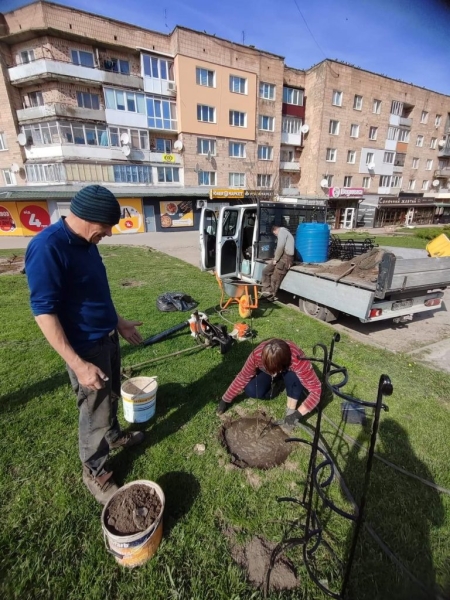   У Дубні на Базарчику посадили магнолії (ФОТО)