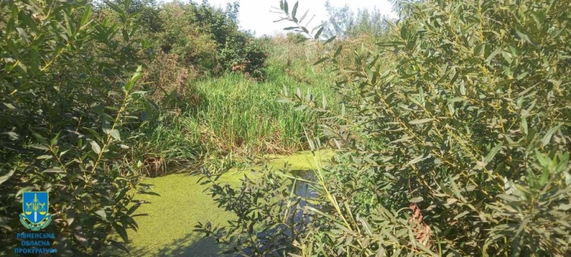 Громаді на Дубенщині повернули понад 48 га земель та водойм вартістю 1,8 млрд грн