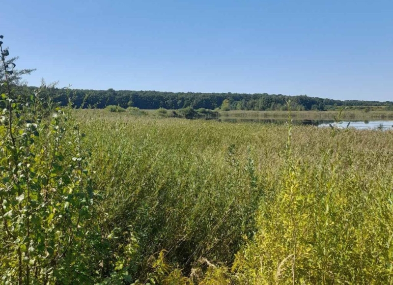 Громаді на Дубенщині повернули понад 48 га земель та водойм вартістю 1,8 млрд грн