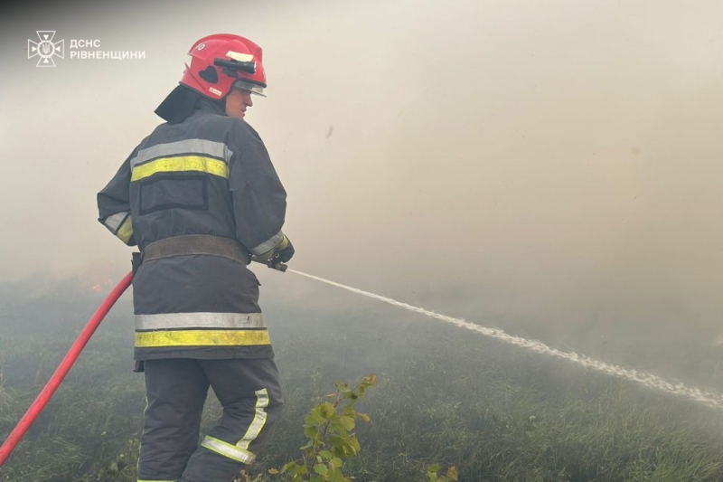 На Дубенщині горіла трава та чагарники