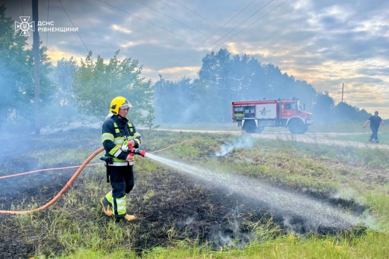 На Дубенщині горіла трава та чагарники