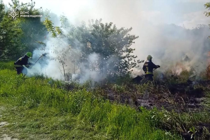 На Дубенщині горіла трава та чагарники