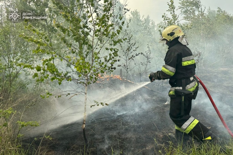 На Дубенщині горіла трава та чагарники