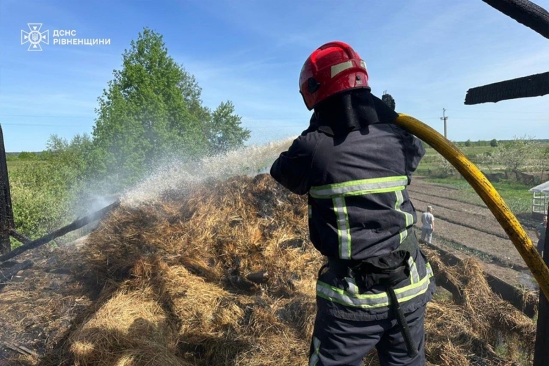 У Сарненському районі за добу горіли майже два гектари сухої трави