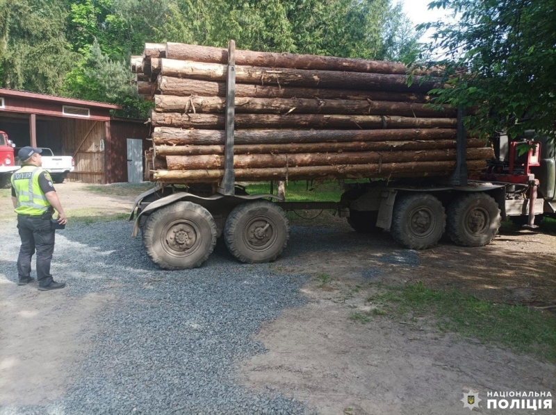 У селі Сарненського району на перевезенні сосни спіймали трьох місцевих