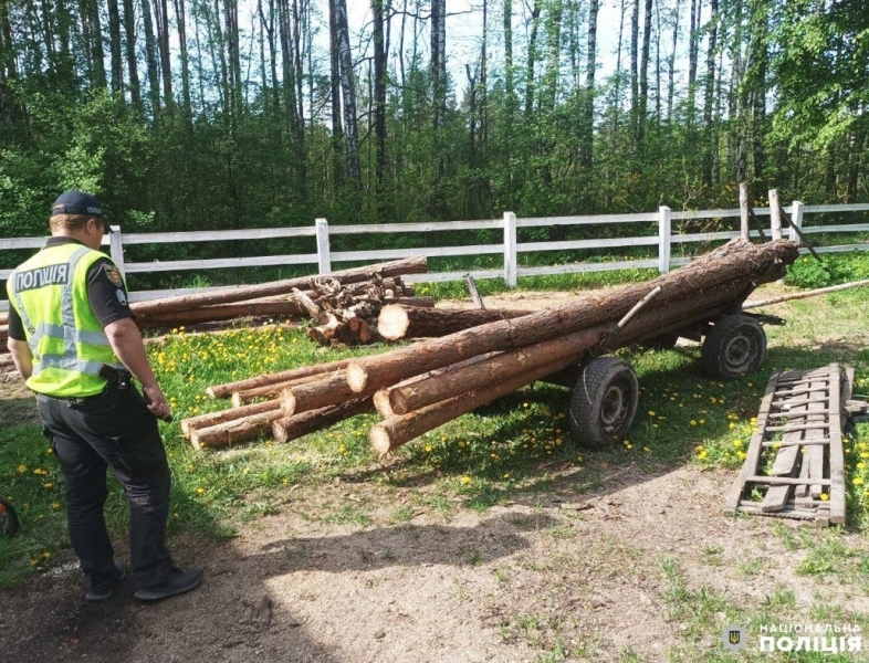 У селі Сарненського району на перевезенні сосни спіймали трьох місцевих