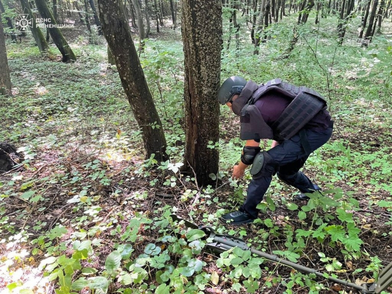 У селі Пирятин знайшли боєприпаси часів Другої світової війни