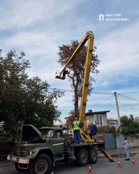 Комунальники у Рівному прибирать дерева, що повалило шквальним вітром (ФОТО)