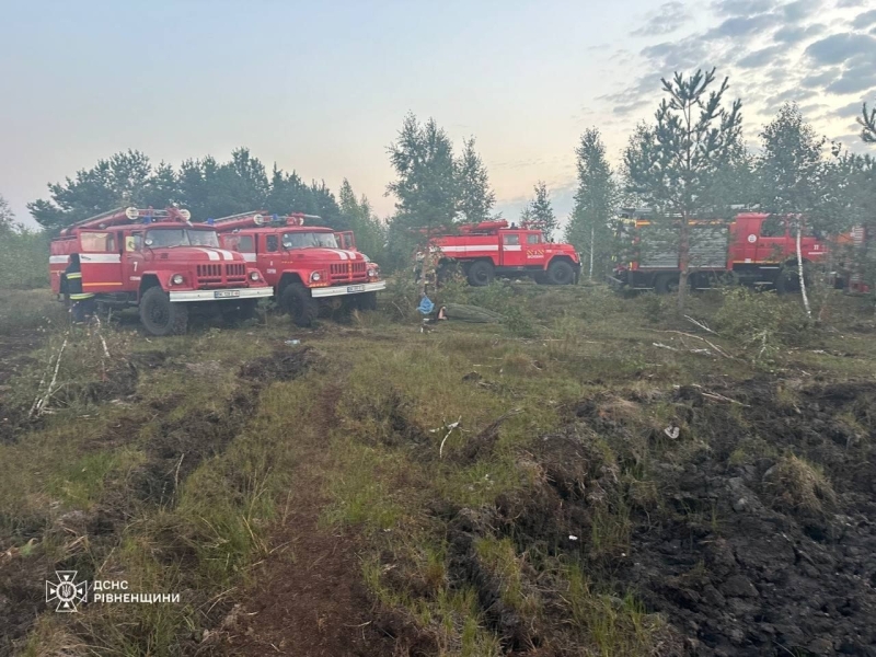 Майже десять гектарів у вогні: у Сарненському районі локалізували пожежу