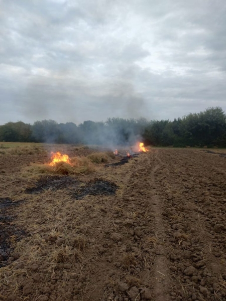 На Дубенщині палії трави втекли від інспекторів