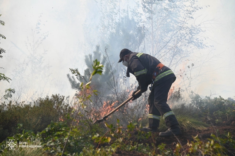 У Сарненському районі майже сотня рятувальників гасить загоряння трави: що відомо