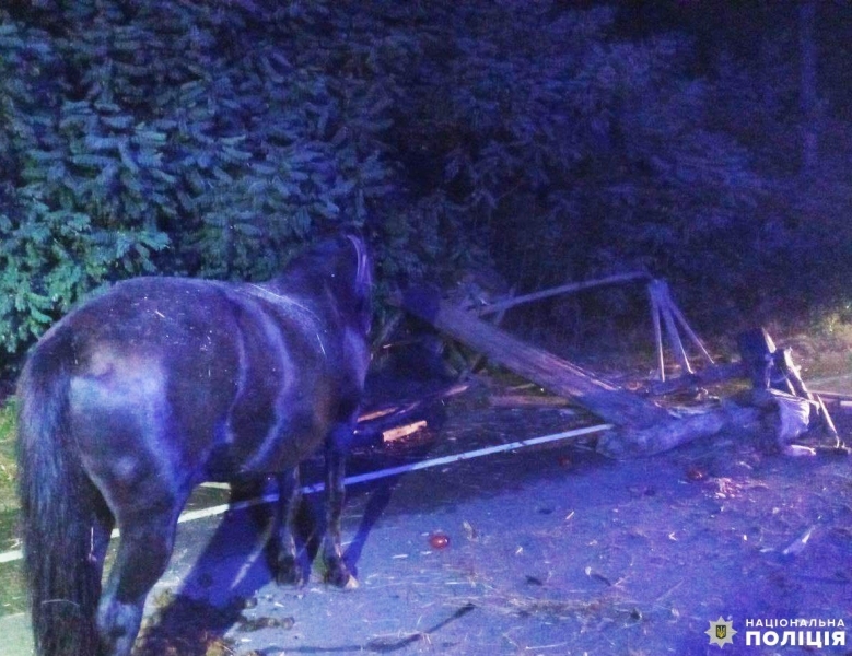 В аварії на Сарненщині загинув водій гужового транспорту