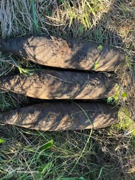 На Дубенщині чоловік садив цибулю і знайшов боєприпас часів Другої світової війни (ФОТО)