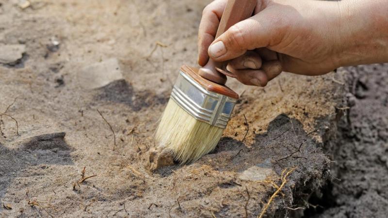 У джунглях Мексики знайшли величезне загублене місто цивілізації Майя