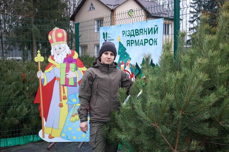 Ялинки й сосни до свят: де легально купити дерево в Сарненському районі