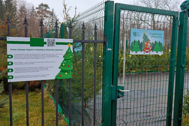 Ялинки й сосни до свят: де легально купити дерево в Сарненському районі